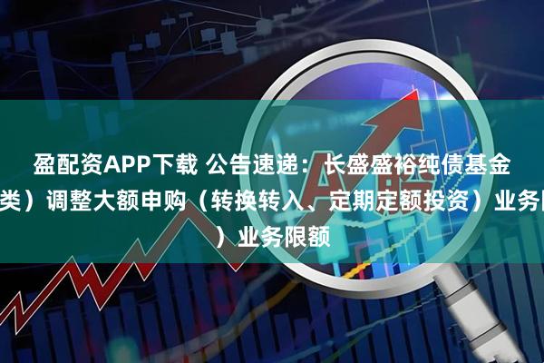 盈配资APP下载 公告速递：长盛盛裕纯债基金（D类）调整大额申购（转换转入、定期定额投资）业务限额